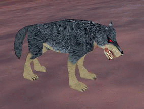 a coldain tracking wolf