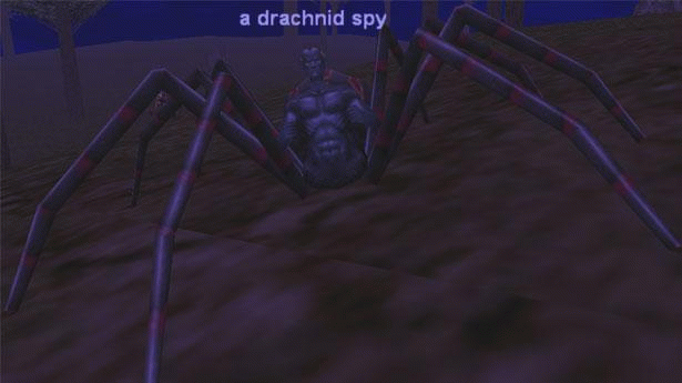 a drachnid spy