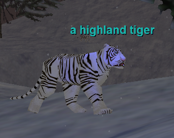 A highland tiger