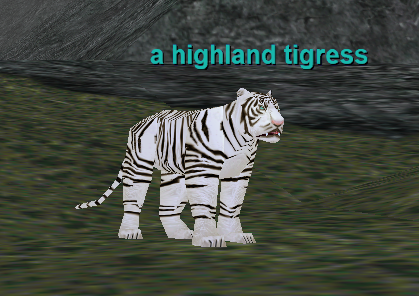 A Highland Tigress