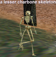 a lesser charbone skeleton