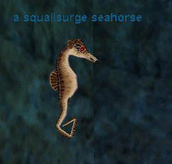a squallsurge seahorse