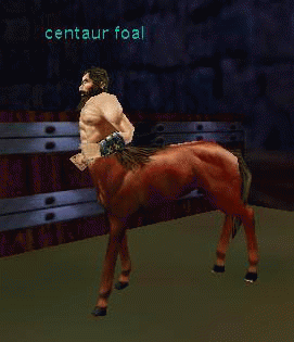 centaur foal
