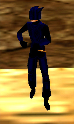 File:Fashion enchanted teirdal halfelf male.jpg