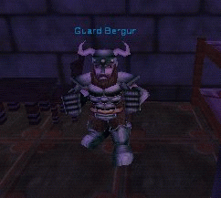 Guard Bergur