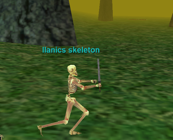 Ilanics skeleton