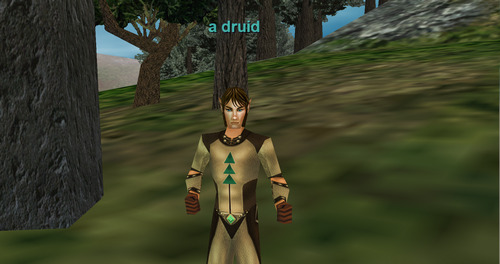 A Druid