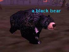 Npc a black bear.png