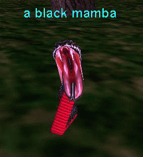 a black mamba