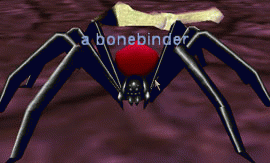 a bonebinder hatchling