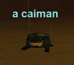 a caiman