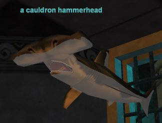 a cauldron hammerhead