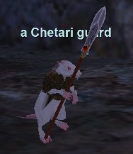 a Chetari guard