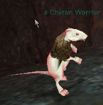 a Chetari Warrior