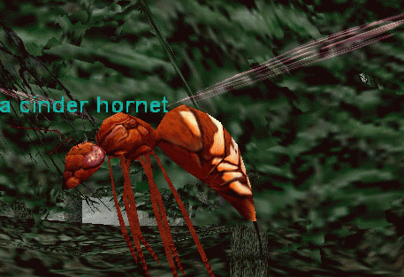 a cinder hornet