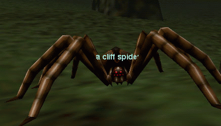 a cliff spider