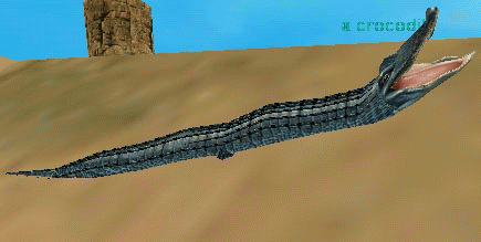 a crocodile