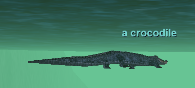a crocodile