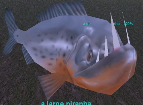 a darkwater piranha