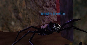 death beetle