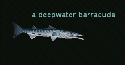 a deepwater barracuda