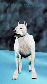 a dire wolf