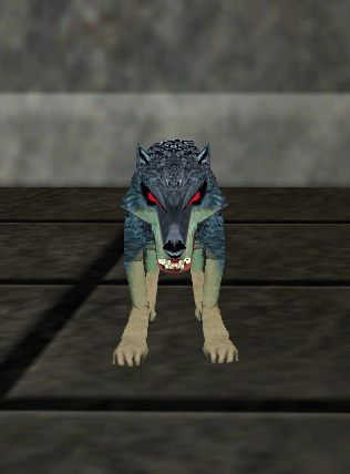 a domesticated direwolf