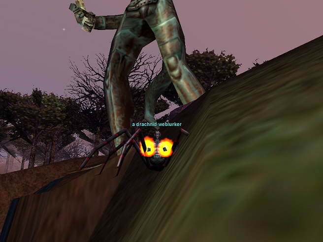 a drachnid weblurker