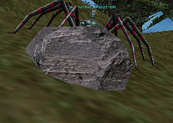 a drachnid webspinner