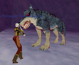 A Drakkel Blood Wolf