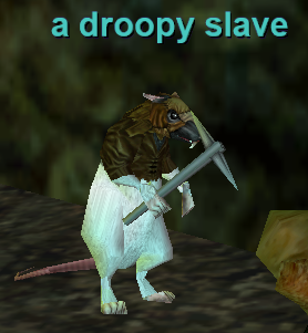 a droopy slave