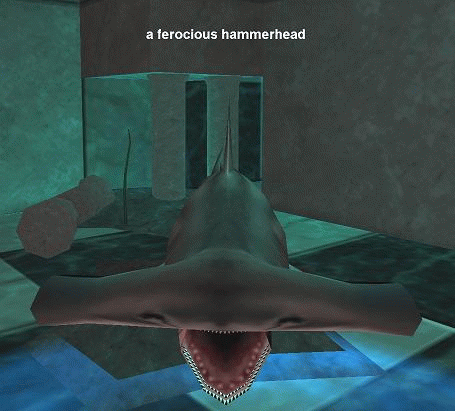 a ferocious hammerhead