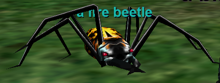 a fire beetle