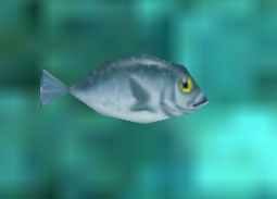 Npc a fish.png