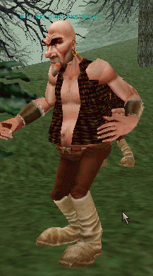 a forest giant evergreen