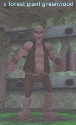 a forest giant greenwood