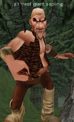 a forest giant sapling