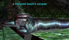 A frenzied leech