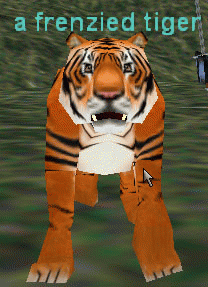 A frenzied tiger