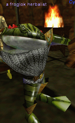 a froglok herbalist