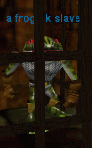 a froglok slave