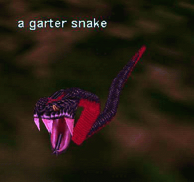 a garter snake