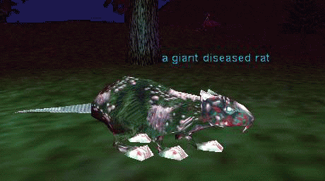 a giant diseased rat