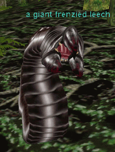 a giant frenzied leech