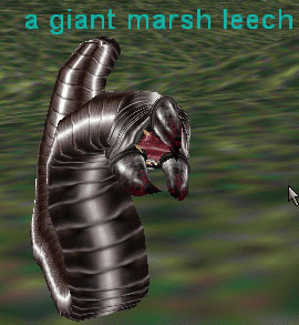 a giant marsh leech