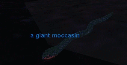a giant moccasin