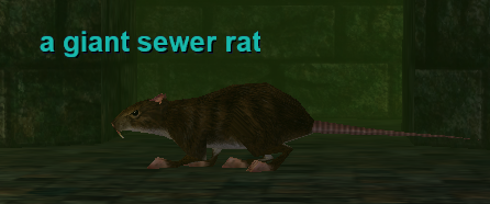a giant sewer rat