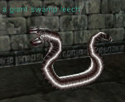 a giant swamp leech