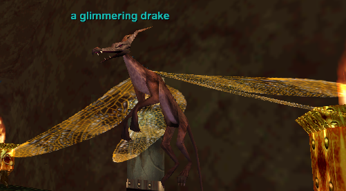 a glimmering drake