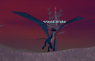 a gravid drake